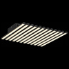 Накладной светильник ST-Luce Paralleli SL839.402.18