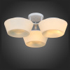 Потолочная люстра ST-Luce Adatto SL296.502.03