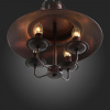 Подвесная люстра ST-Luce Rarita SL269.403.04