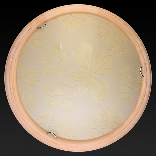 Накладной светильник TopLight Jane TL9640Y-00PN