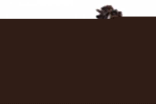 Держатель для бутылок (49x12x30 см) Лошадь 146-743