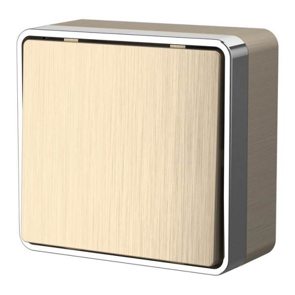 Выключатель одноклавишный Werkel  WL15-01-01 (шампань рифленый)