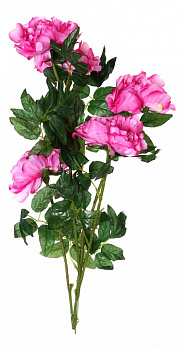 Букет (100 см) Пион 23-230