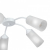 Потолочная люстра Vitaluce V3758 V3758-0/5PL