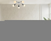 Потолочная люстра Escada Aquilegia 1100/5P Chrome