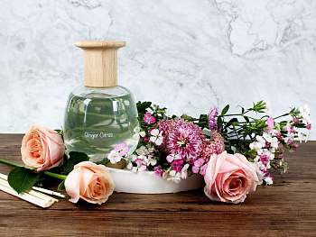 Ароматизатор диффузионный (0.6 л) Имбирь и цитрус Ар-№6-600мл