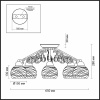 Потолочная люстра Odeon Light Balina 2944/5C