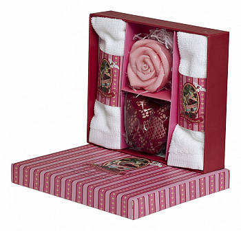 Набор подарочный (18.5х16 см) Лимонник и имбирь F15S-LG028