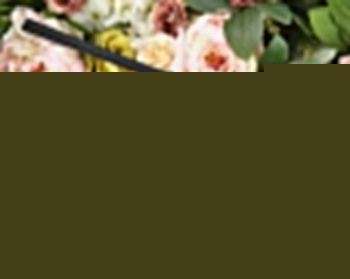 Ароматизатор диффузионный (0.18 л) Вишневое Дерево и Сладкий Жасмин Ар.10-180мл