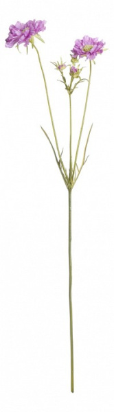 Цветок (80 см) Скабиоза 24001200