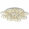 Потолочная люстра F-promo Roundels 2292-12U