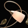 Потолочная люстра MW-Light Верона 334013208