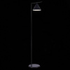 Торшер ST-Luce Dizzie SL1007.405.01
