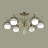 Потолочная люстра Lumion Cecillia 3667/6C
