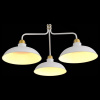 Подвесная люстра ST-Luce Pietanza SL323.503.03