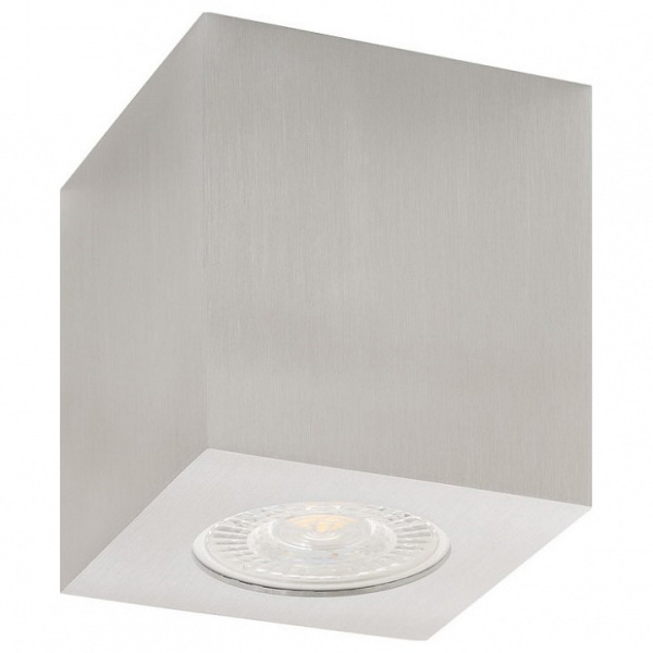 Накладной светильник Denkirs DK3010 DK3010-AL