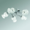 Потолочная люстра Lumion Frizza 3073/5C