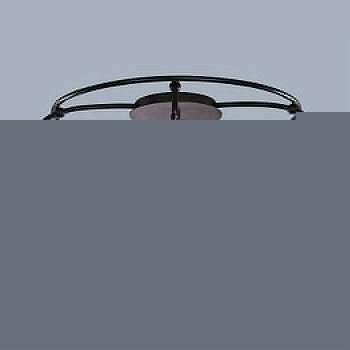 Потолочная люстра L'Arte Luce Gela L17755.19