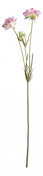 Цветок (80 см) Скабиоза 24001100