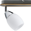 Спот Paulmann Wolba 60073