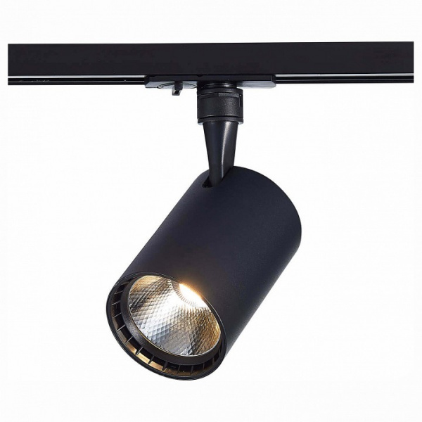 Светильник на штанге ST-Luce Cami ST351.446.30