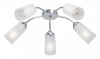 Потолочная люстра Vitaluce V3758 V3758-9/5PL