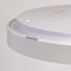Накладной светильник MW-Light Ривз 674013101