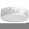 Накладной светильник MW-Light Ривз 674016001