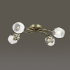 Потолочная люстра Lumion Filomena 3068/4C