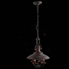 Подвесная люстра ST-Luce Rarita SL269.403.04