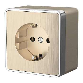 Розетка с заземлением Werkel  WL15-02-01 (шампань рифленый)