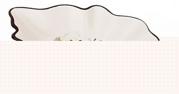 Блюдо декоративное (26.5х18х4.5 см) Coffee 358-1419