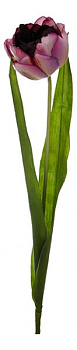 Цветок (57 см) Тюльпан махровый 58014500