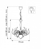Подвесная люстра Lightstar Cigno Collo 751127