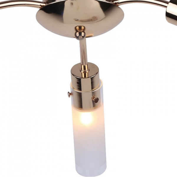 Потолочная люстра Escada Cetus 138/3PL