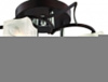 Люстра на штанге Odeon Light Harta 2538/4C