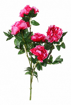 Букет (100 см) Пион 23-232