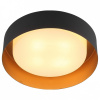 Накладной светильник ST-Luce Chio SL392.422.04