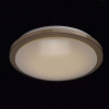 Накладной светильник MW-Light Ривз 674012601