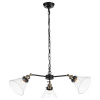 Подвесная люстра ST-Luce Evoluto SL237.413.03
