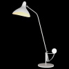 Настольная лампа офисная Lightstar Manti 764906