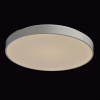 Накладной светильник MW-Light Ривз 674013101