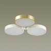Накладной светильник Lumion Dilip 3646/60CL