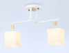 Светильник на штанге Ambrella Light TR TR9484