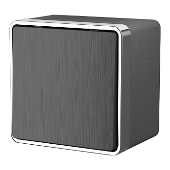 Выключатель одноклавишный влагозащищенный Werkel  WL15-01-02 (графит рифленый)