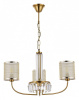 Подвесная люстра EVOLUCE Ellisse SLE1119-303-03
