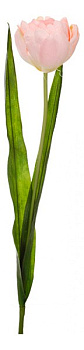 Цветок (57 см) Тюльпан махровый 58014400