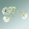 Потолочная люстра Lumion Florana 3041/3C