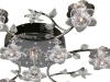 Потолочная люстра Omnilux OML-149 OML-14907-09