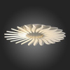 Накладной светильник ST-Luce Girasole SL836.502.24